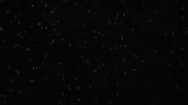 Su buharı siyah arka plan üzerine küçük parçacıklar