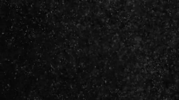 Malé částečky vodní páry na černém pozadí — Stock video