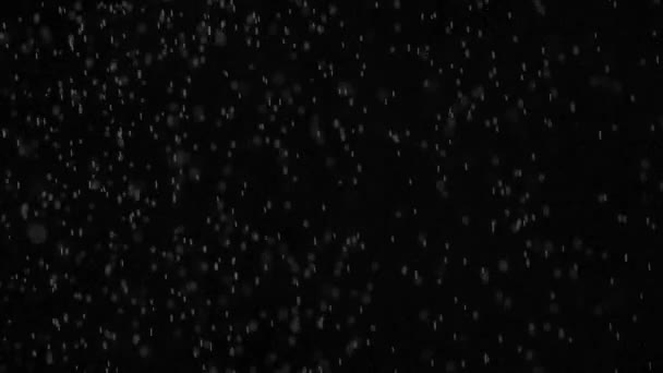 Minuscules particules de vapeur d'eau sur fond noir — Video