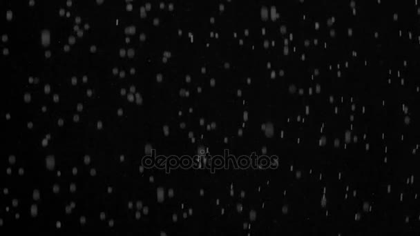 Små partiklar av vattenånga på svart bakgrund — Stockvideo