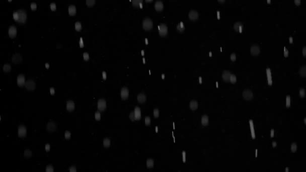 水蒸汽在黑色背景上的微粒 — 图库视频影像