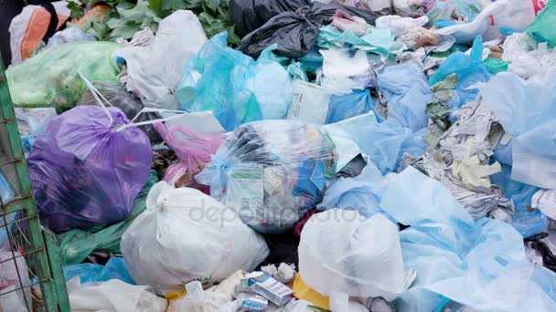 Груды мусорных мешков в городе — стоковое видео