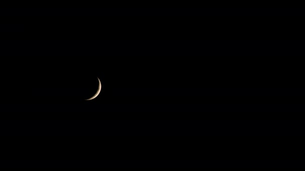 New Moon in the Pitchblack Sky — Stock Video