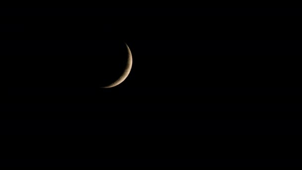 New Moon in the Pitchblack Sky — Stock Video