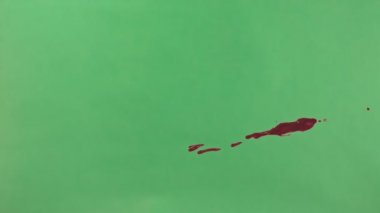 Kırmızı mürekkep sıçramak yeşil ekran arka planı üzerinde