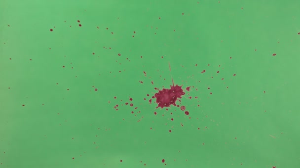 Salpicadura de tinta roja sobre fondo de pantalla verde — Vídeo de stock