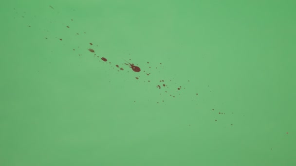 Salpicadura de tinta roja sobre fondo de pantalla verde — Vídeo de stock