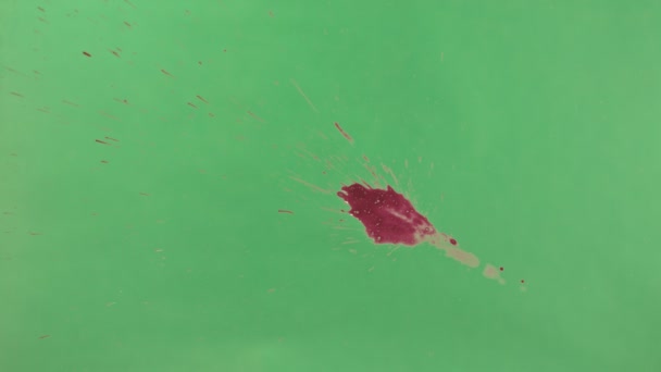 Rode inkt Splatter Over groene schermachtergrond — Stockvideo