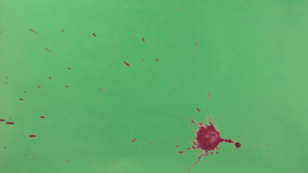 Κόκκινο μελάνι πιτσιλίσματα πάνω από την πράσινη οθόνη φόντου — Αρχείο Βίντεο
