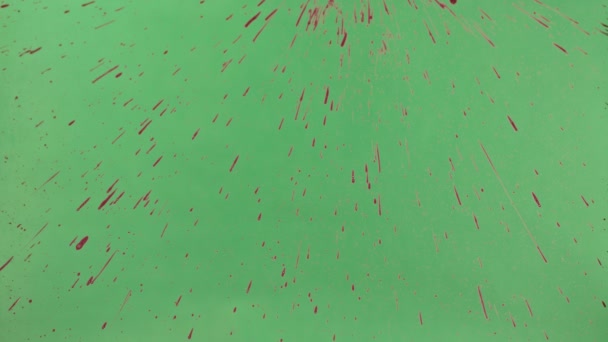 Inchiostro rosso spruzzato sullo sfondo dello schermo verde — Video Stock