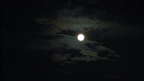 Luna Nueva y Nubes en el Cielo Negro — Vídeo de stock