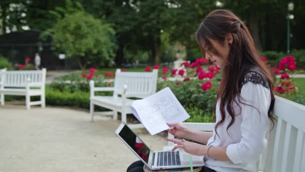 Dame assise dans le parc, utilisant un ordinateur portable. Saisie des données — Video