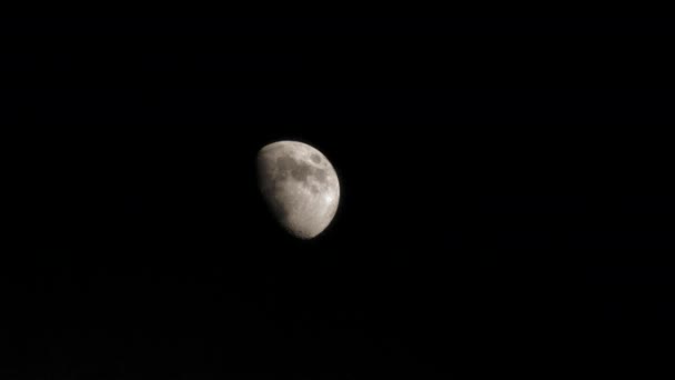 Nowy księżyc na niebie Pitchblack — Wideo stockowe