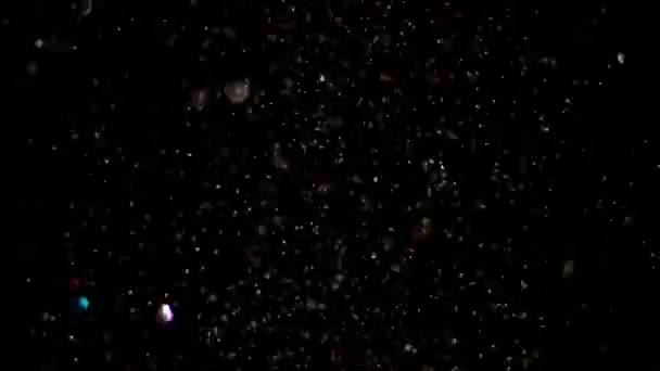 Realista Glitter Explodindo em fundo preto . — Vídeo de Stock