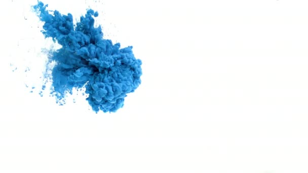 Blue Ink in Water — Stock Video