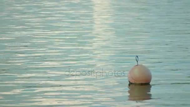Uma bóia flutuando na superfície da água — Vídeo de Stock