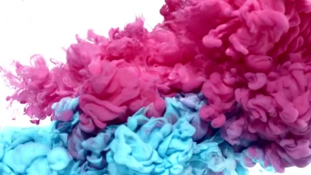 Розовые и голубые чернила в воде — стоковое видео