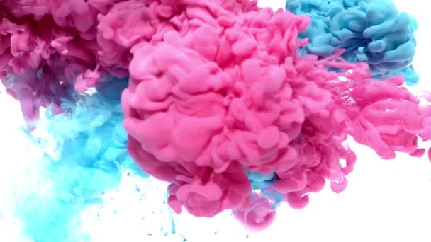 Tinta rosa y azul en el agua — Vídeos de Stock