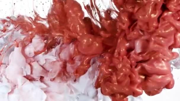 Weiß- und Rotgoldtinte im Wasser — Stockvideo