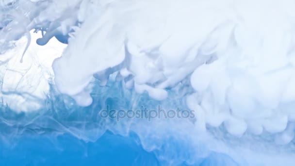 Tinta blanca y azul en el agua — Vídeos de Stock