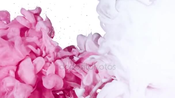白色和粉红色墨水在水中 — 图库视频影像