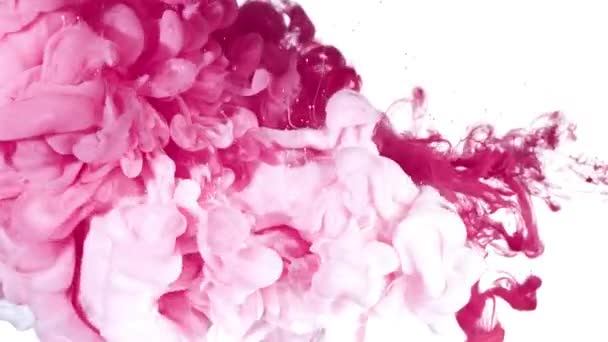 Inchiostro bianco e rosa in acqua — Video Stock