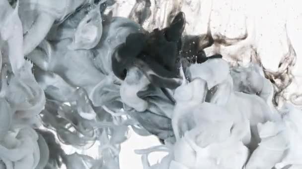 Encre blanche et noire dans l'eau — Video