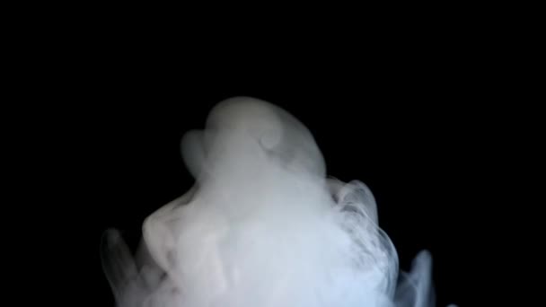 Witte rook geïsoleerd op zwarte achtergrond — Stockvideo