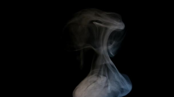 Fehér füst elszigetelt fekete háttér — Stock videók