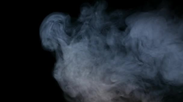 White Smoke Isolated on Black Background — Stock Video