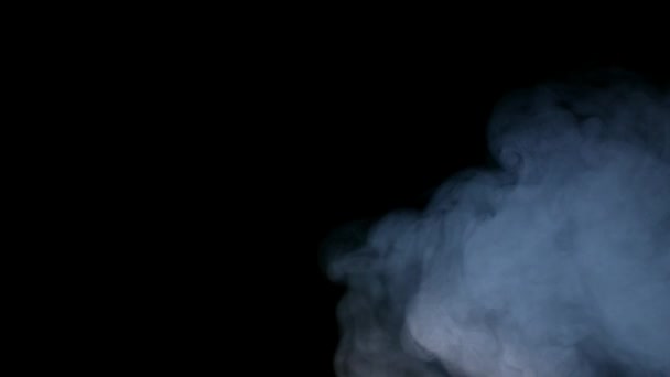 White Smoke Isolated on Black Background — Stock Video