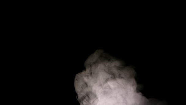 (Inggris) Fluffy Puffs of Smoke and Fog on Black Background — Stok Video