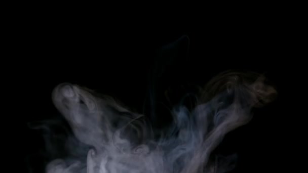 Fumo branco isolado sobre fundo preto — Vídeo de Stock