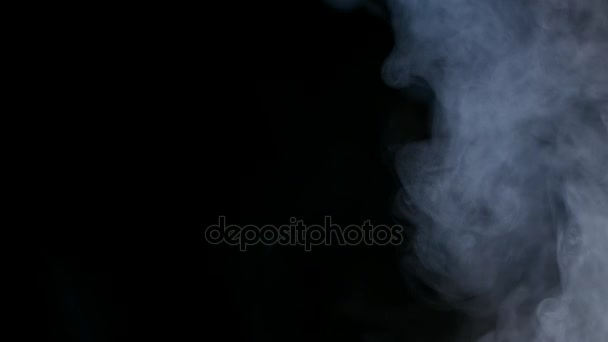 White Smoke Isolated on Black Background — Stock Video