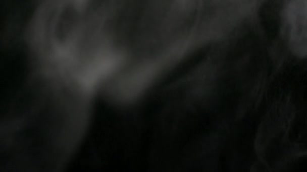 黑色背景下的白色烟雾 — 图库视频影像