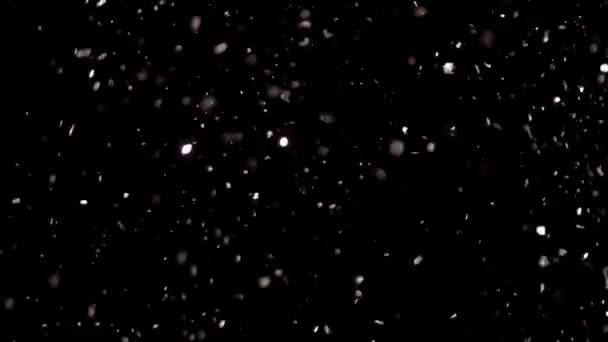 Ledakan Glitter Realistik di Latar Belakang Hitam . — Stok Video