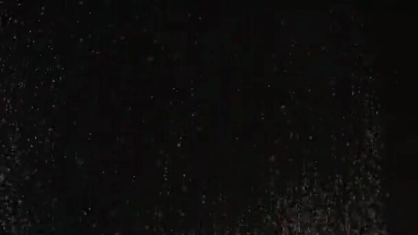 Realistic Glitter Exploding on Black Background. — Stock Video