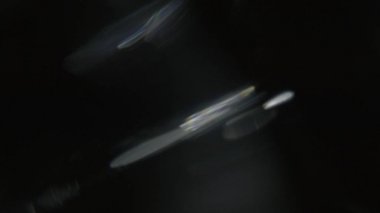 Lens ışığı.