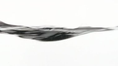 Yüzen su makro görüntüleri. Beyaz arka plan