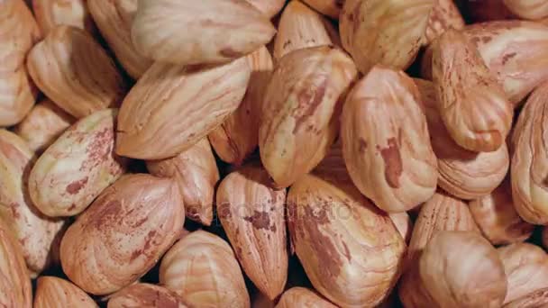 Almendras peladas primer plano — Vídeo de stock