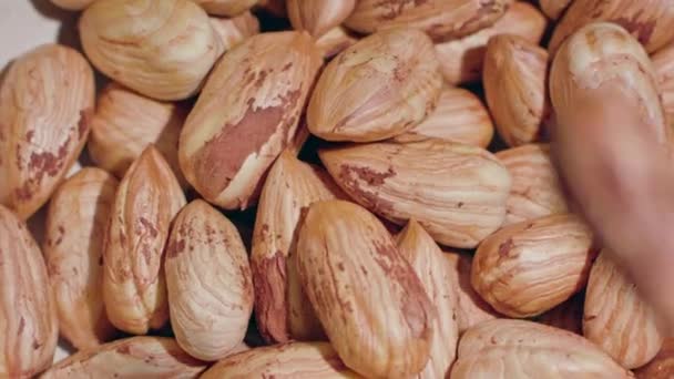 Peeled Almonds Closeup — Stock Video