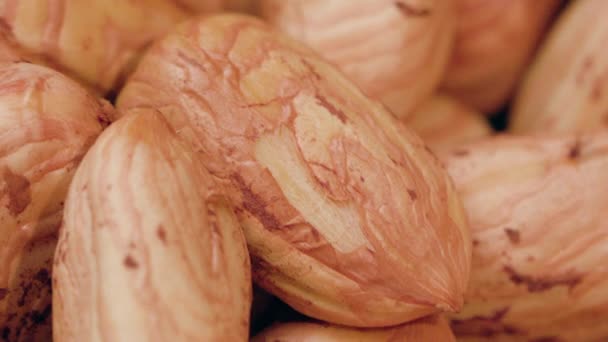 Peeled Almonds Closeup — Stock Video