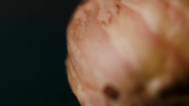 Αποφλοιωμένες αμύγδαλα Closeup — Αρχείο Βίντεο