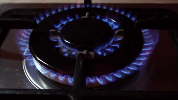 Flames in Stove Burner — Stock Video