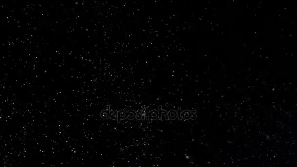 Медленный снег на черном фоне , — стоковое видео