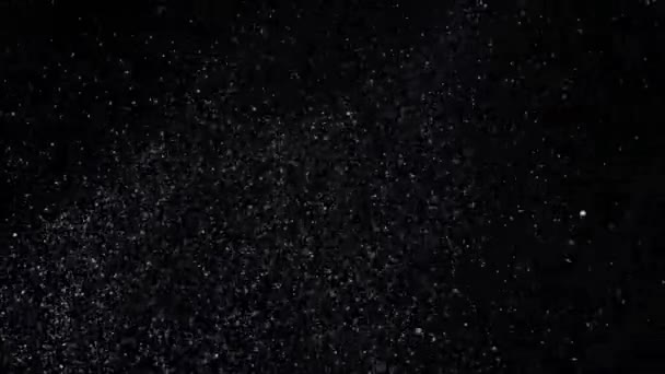 Nieve en cámara lenta sobre fondo negro , — Vídeos de Stock
