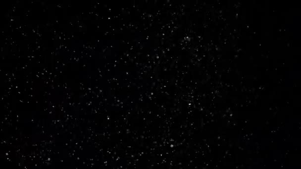 Neige au ralenti sur fond noir ,