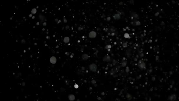 Zpomalený pohyb sněhu na černém pozadí, — Stock video
