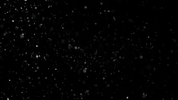 Slow Motion Snow em fundo preto , — Vídeo de Stock