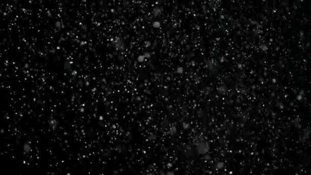Siyah arka plan üzerine ağır çekim kar, — Stok video